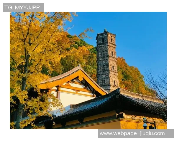 探索埃斯特旺的独特魅力与文化底蕴，感受这座城市的历史与现代交融之美